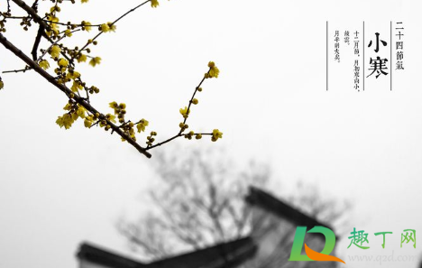 2020小寒是哪一天什么时间(小寒是几月几日2020具体时间)