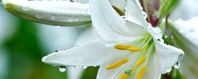 需要注意这些(需要注意些什么吗)