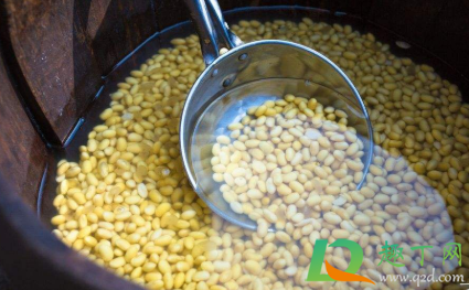 黄豆水太臭了怎样处理了不错(黄豆水为什么臭)