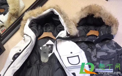 羽绒服霉点能洗掉吗(羽绒服上的霉点干洗店能洗掉吗) 羽绒服霉点能洗掉吗(羽绒服上的霉点干洗店能洗掉吗)