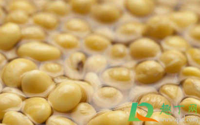 黄豆水太臭了怎样处理了不错(黄豆水为什么臭)