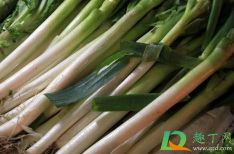 山东产大葱批发价翻倍怎么回事(山东大葱价格短短几天翻几倍) 山东产大葱批发价翻倍怎么回事(山东大葱价格短短几天翻几倍)