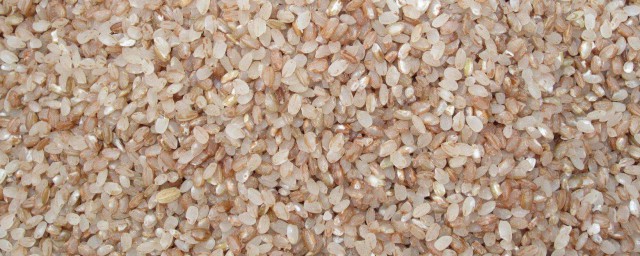 这种食物竟然有两千多年的历史(历史上的食物)