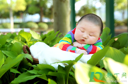 2020年12月出生的宝宝好不好(2020年12月哪天生宝宝好)