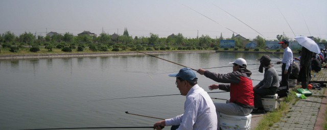 冬天钓鱼怎么在河里找窝(冬天钓鱼怎么找鱼窝)