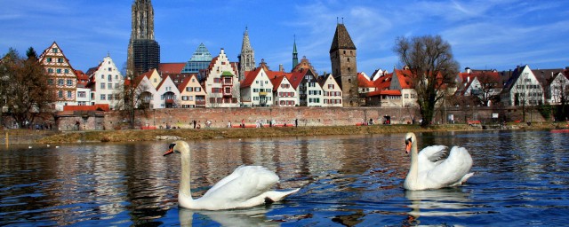 欧洲包括哪些国家(欧洲包括哪些国家亚洲有哪些国家)