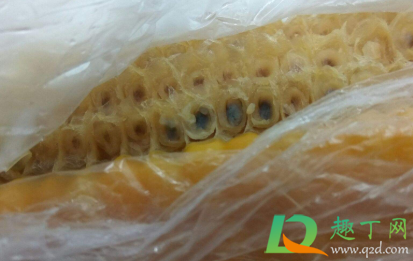 餐具黄曲霉菌用水能洗掉吗(被黄曲霉菌污染的厨具)