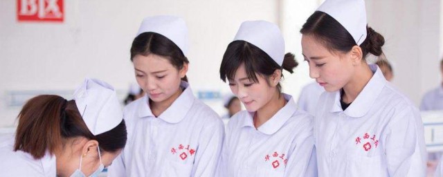 三个报考专业分享(报考六个专业)