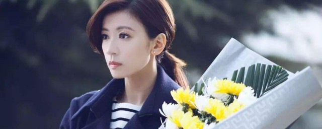 素云由谁饰演(素云是什么电视剧)