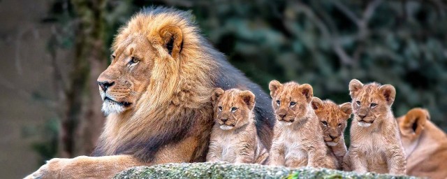 科普小知识来了(有趣的科普小知识)