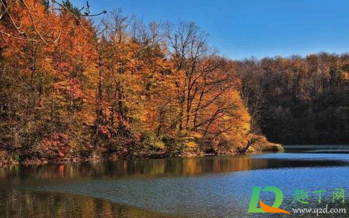 2020年11月有冷空气吗(2020年11月会冷吗)