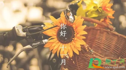 冬月是农历几月份(冬月是农历几月份是什么星座)