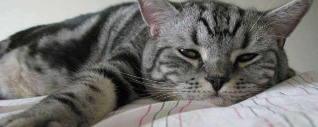 具体应该怎么做(看人说话具体应该怎么做)