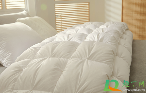 白色羽绒被为什么会变黄(羽绒被为什么会发黄)