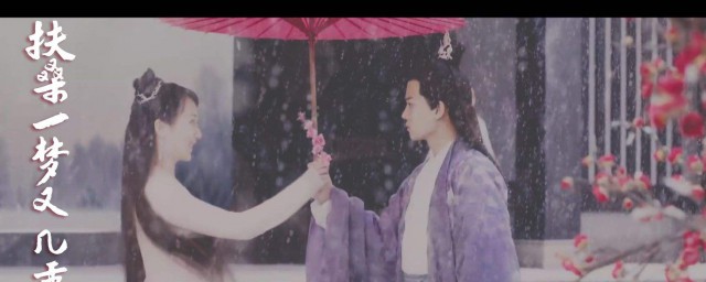 免费观看播放器分享