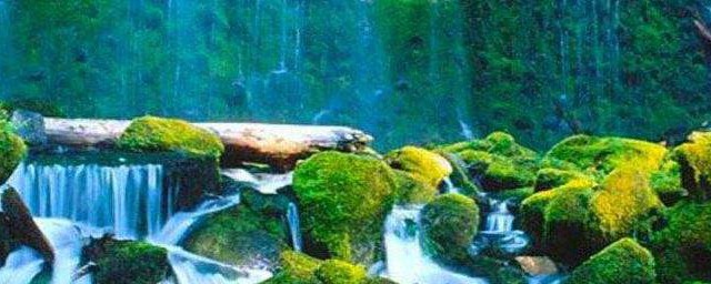 九寨沟的简单介绍(九寨沟的介绍和来历)