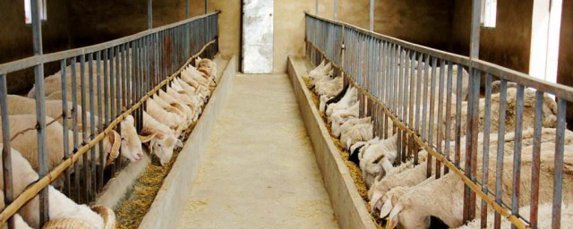 设计理念和要求(设计理念和设计原则)