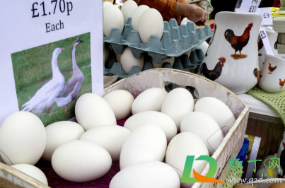 鹅蛋保存是大头朝上还是大头朝下(鹅蛋孵化大头朝上放吗)