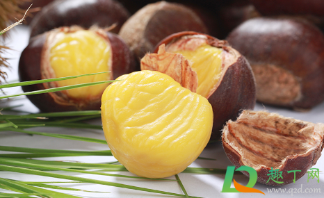 生板栗冷冻一年还能吃吗(熟板栗放冰箱冷冻一年还可以吃吗)