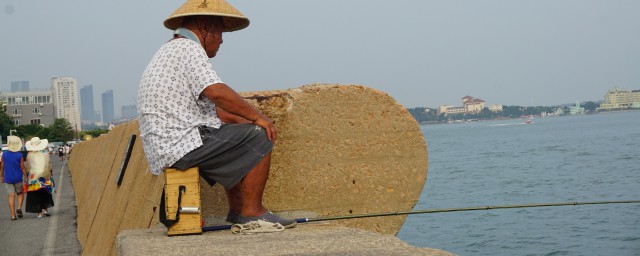 蚂蚁上树钓鱼法(钓鱼如何驱赶蚂蚁)