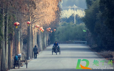 小寒是不是进九了(小寒是不是三九)