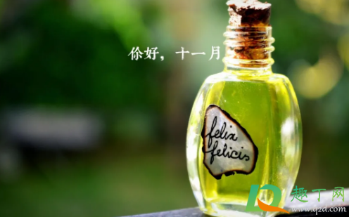 冬月是农历几月份(冬月是农历几月份是什么星座)