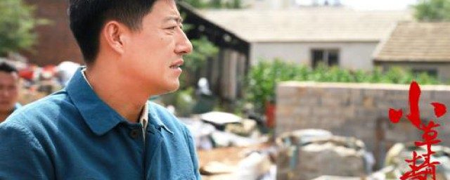 小草青青电视剧大结局很温暖(小草青青电视剧全集56大结局那歌)