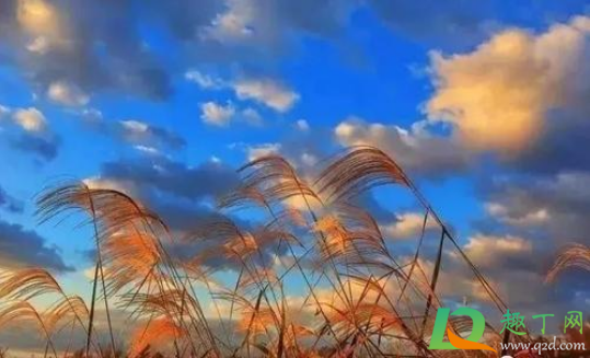 2020年11月有几个工作日(2020年11月份工作时间)