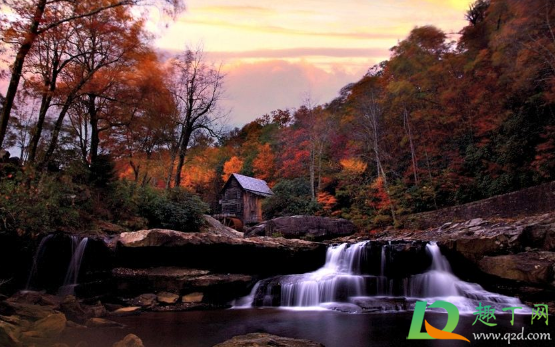 2020年11月有冷空气吗(2020年11月会冷吗)