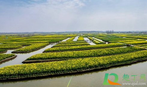 2021大寒后天气会变暖吗(2021过年天气会暖和吗)