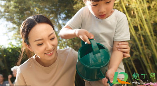 营养液喷叶和浇土哪个好(花的营养液喷叶还是浇水)