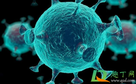 喀什新增137例无症状感染者是真的吗(喀什无症状感染人数)