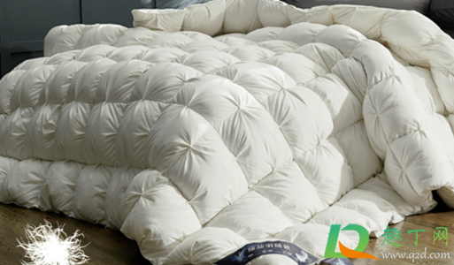 羽绒被的被套要小一号吗(羽绒被可以用小一点的被罩吗) 羽绒被的被套要小一号吗(羽绒被可以用小一点的被罩吗)