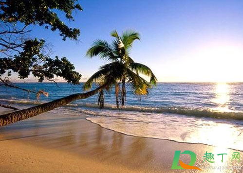 三亚所有景区景点暂停营业是真的吗(海南三亚各景区是不是停止营业)