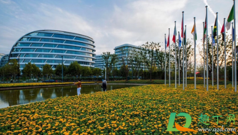 2020上海进博会放假不(2020年上海进博会结束了吗) 2020上海进博会放假不(2020年上海进博会结束了吗)