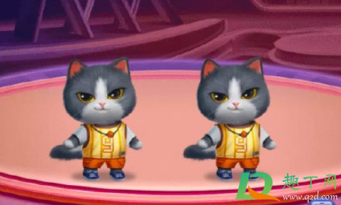 2020淘宝双十一养猫怎么踢人(2020双11猫猫怎么踢人)