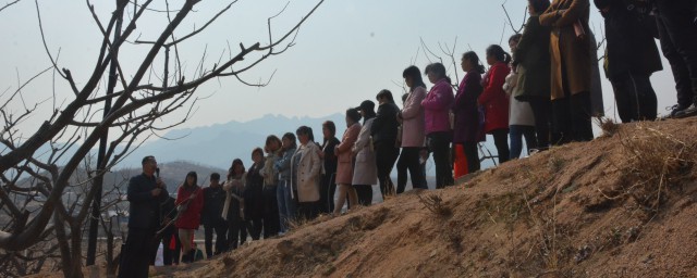 刻芽的操作流程容易学会么(什么叫刻芽,怎么刻)