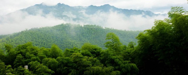黄山风景区在我国安徽省南部(黄山风景区在我国安徽省南部加标点符号)
