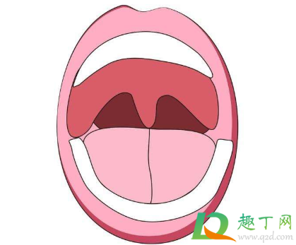 嘴巴里吊着的那坨肉是什么(嘴巴里面那坨肉叫什么)