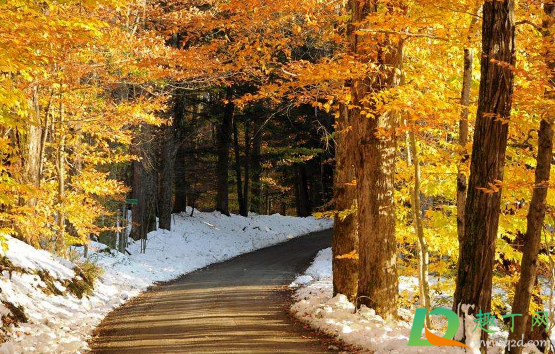 2021年元旦会下雨吗(2021年春节期间会下雨吗)