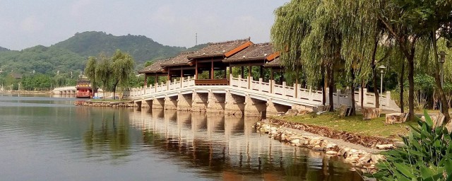 该市总面积是多少(市区的面积)