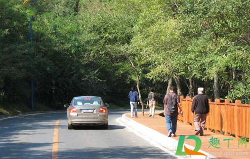 2021年1月1日免过路费吗(2021年1月1号免过路)