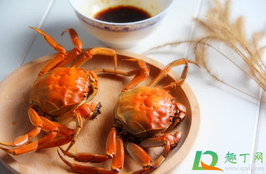 螃蟹只有触角动还是活的吗(螃蟹的触角有什么作用)