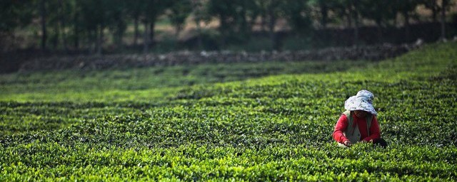 有什么特殊的含义吗？(有什么特殊的含义吗)