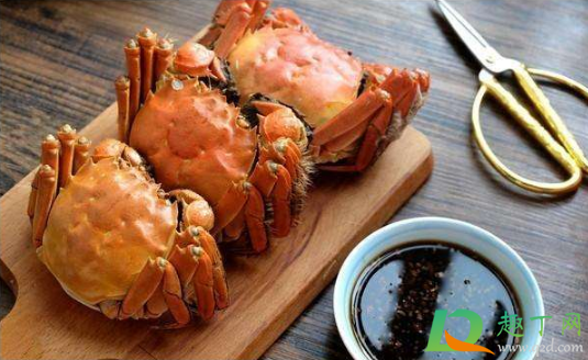 螃蟹只有触角动还是活的吗(螃蟹的触角有什么作用)