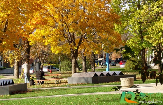 2021年元旦会下雨吗(2021年春节期间会下雨吗)
