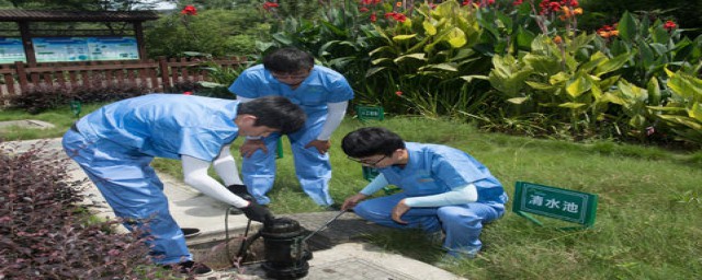 怎样处理农村生活废水(农村生活用水的污水怎样处理)