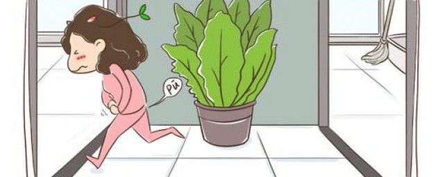 俗语科普(民间俗语是什么)