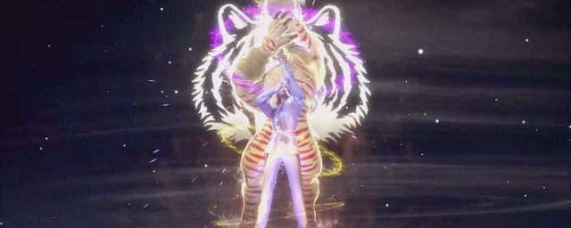 灵猫魂环搭配攻略(猫魂环最佳搭配)