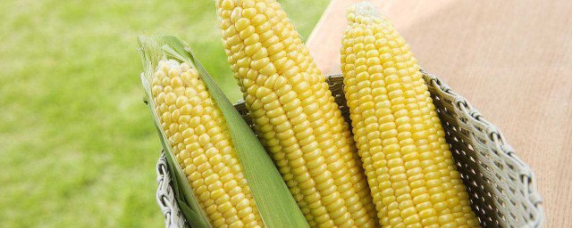 以下这些都是(以下指的是)